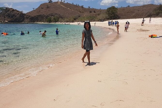 1- day Komodo Island Hopping Tour by Speed Boat departure From Labuan bajo - What the $117 price really buys you