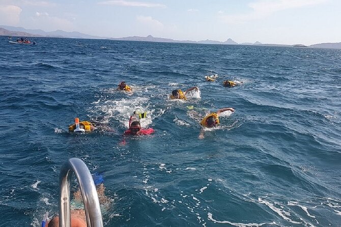 1- day Komodo Island Hopping Tour by Speed Boat departure From Labuan bajo - Kanawa Island ends the water time gently