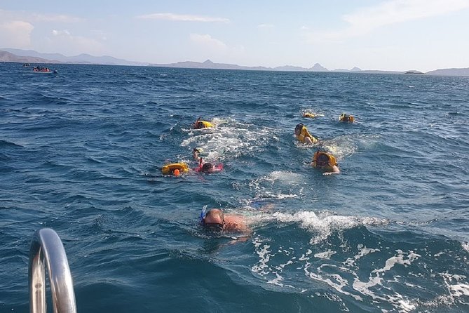 1- day Komodo Island Hopping Tour by Speed Boat departure From Labuan bajo - Padar Island gives you the big view first
