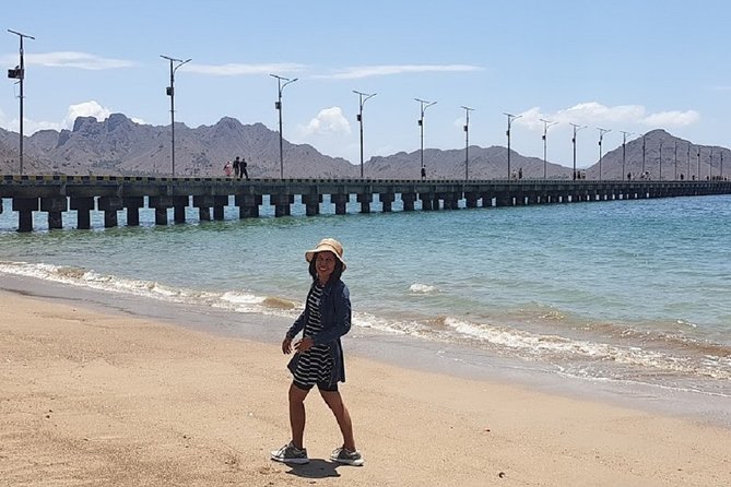 1- day Komodo island Tour hopping around by Speed Boat - Pink Beach and its short pause