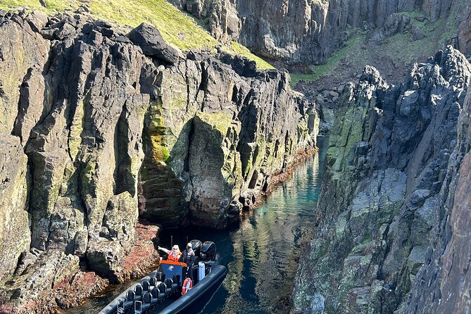 1 Hour Iceland Nature and Wildlife RIB Small Group Guided Safari - Setting out from Hafnarhólmi in Bakkagerði