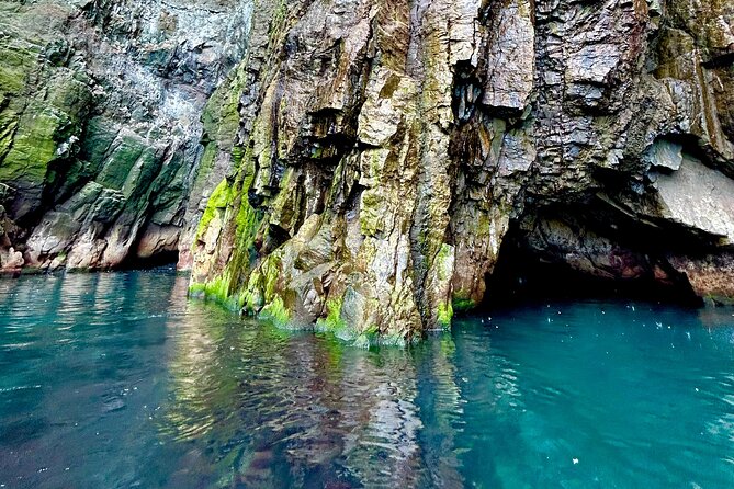 1 Hour Iceland Nature and Wildlife RIB Small Group Guided Safari - Seals, a waterfall, and the chance of whales