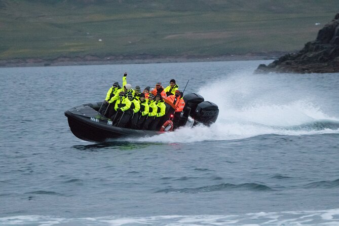 1 Hour Iceland Nature and Wildlife RIB Small Group Guided Safari - Is $160 a fair price for one hour?