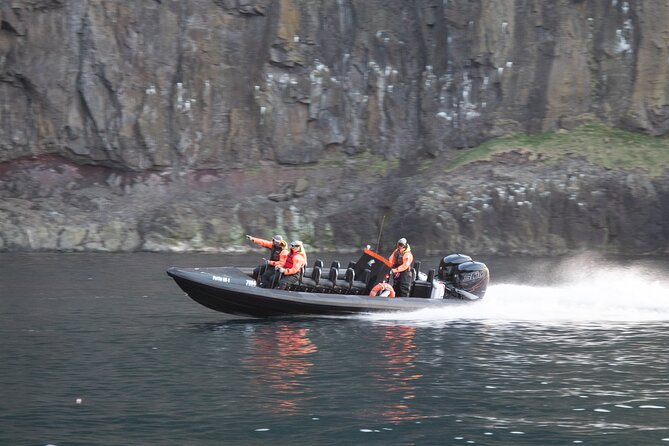 1 Hour Iceland Nature and Wildlife RIB Small Group Guided Safari - Who will enjoy this ride most?
