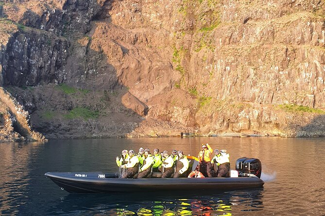 1 Hour Iceland Nature and Wildlife RIB Small Group Guided Safari - Why a RIB makes this coast more interesting