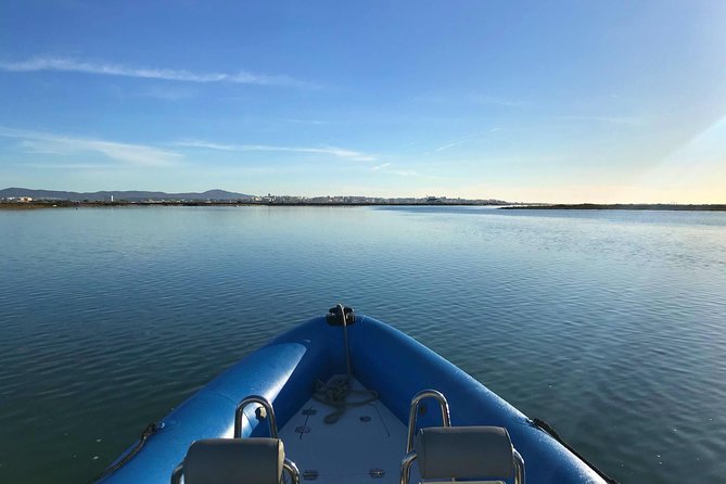 1 or 2 Hour Speed Boat Tour - Ria Formosa - Speed through the channels and toward the beaches