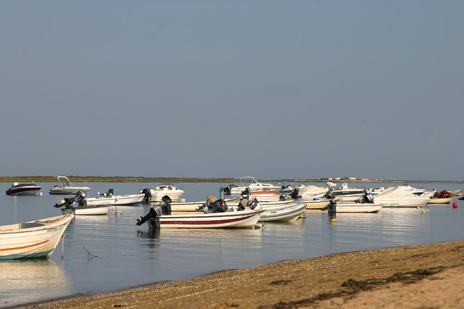 1 or 2 Hour Speed Boat Tour - Ria Formosa - Who will enjoy this boat trip most