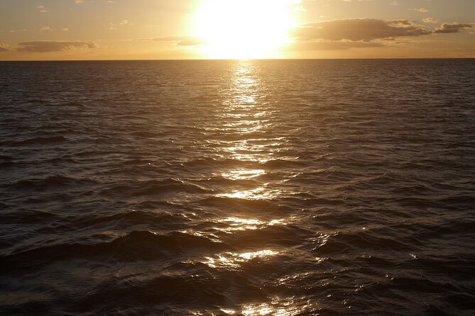 2-Hour Maalaea Luxury Powerboat Sunset Cruise for up to 6 Guests - Coral Gardens and Molokini views
