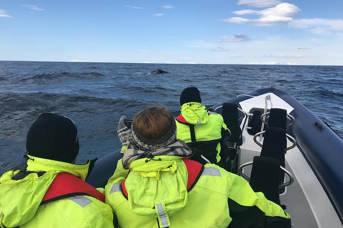 2-Hour RIB Boat Whale Watching Tour from Reykjavik - The gear keeps the cold manageable