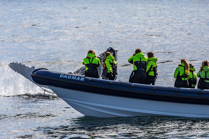 2-Hour RIB Boat Whale Watching Tour from Reykjavik - How rough is the RIB ride?