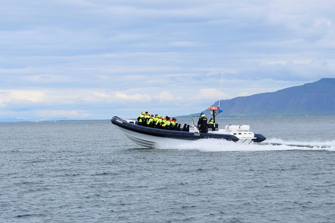 2-Hour RIB Boat Whale Watching Tour from Reykjavik - Is $189.87 good value?