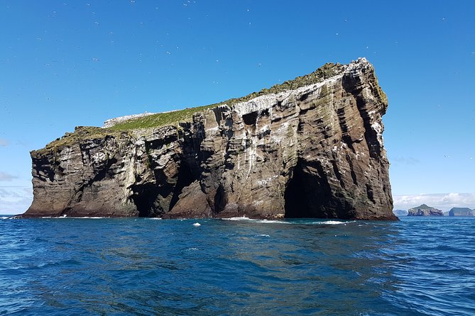 2 hour Round Trip in Vestmannaeyjar on a RIB Boat - What the two-hour length gives you