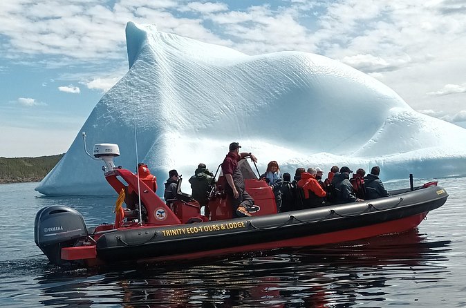 3 Hour Ocean Safari by Zodiac Boat -Whales & Icebergs seasonally - How wet and wild should you expect it to be?