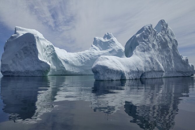 3 Hour Ocean Safari by Zodiac Boat -Whales & Icebergs seasonally - Who gets the best value from the $93.44 price?