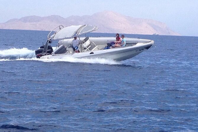 3 Hours VIP Speed Boat Excursion in Sharm - Speed, Dolphins, and Quiet Water