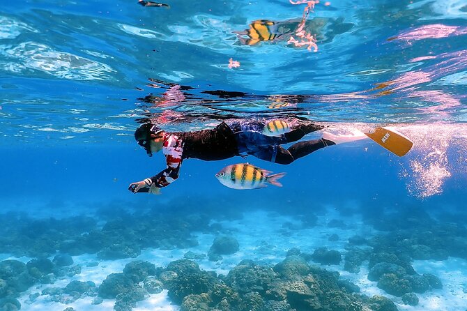 3-Island Speedboat Tour: Racha Noi, Racha Yai & Maiton - Maiton Island and the route detail to verify
