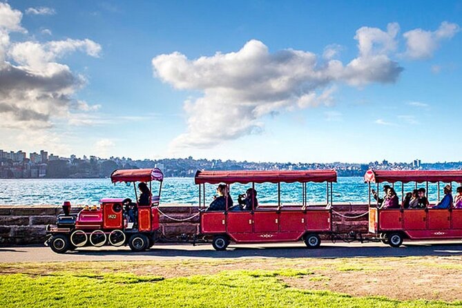 30-Minute Sydney Harbour Jet Boat Ride: Jet Blast - Under the Harbour Bridge and past Luna Park