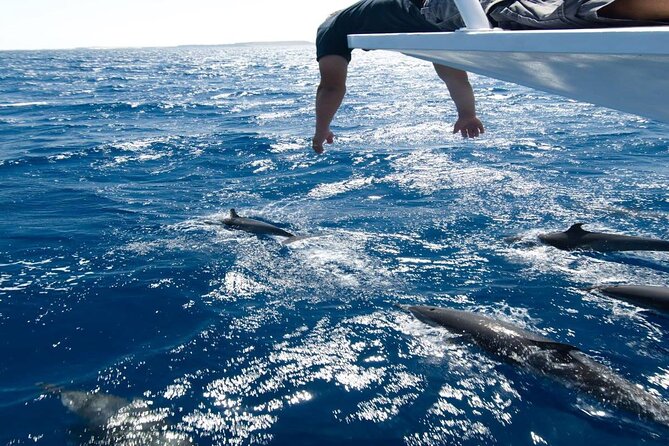 4-Hour Private Speedboat to See Dolphins from Hurghada - What is included, and what is not