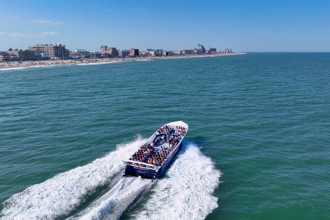 45-Minute Sea Rocket Speed Boat & Dolphin Cruise in Ocean City MD - Dolphins, ocean views, and realistic expectations