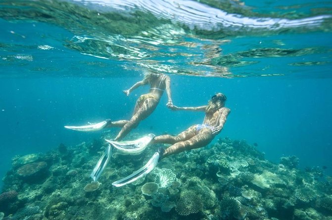 5-in-1 Adventure in Cancun: ATVs, Ziplines, Speed Boat, Snorkel and Cenote Swim - Transport, fees, and what you really pay