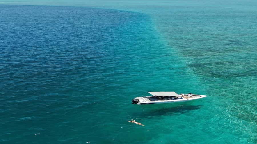 5 Islands All-Inclusive Speedboat w/Snorkeling Sea Turtle - Ile aux Phares, Ile de La Passe, and Ile aux Aigrettes