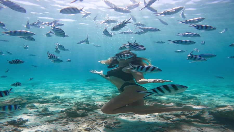 5 Islands Private Speedboat w/ Snorkeling + Lunch & Drinks - Who will enjoy this private boat day?