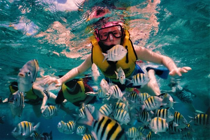 5 Islands Speedboat Cruise incl. Snorkeling in Blue Bay + Lunch at Ile aux Cerfs - Lunch and the long middle of the day