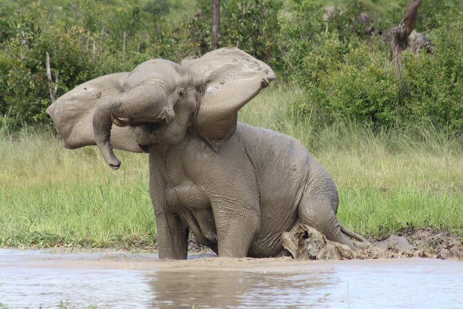 Adrenaline Jet Boat Safari in Victoria Falls - Zambezi National Park and the wildlife chance