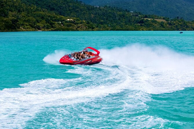 Airlie Beach Jet Boat Thrill Ride - Wildlife and views after the adrenaline