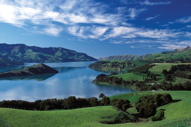 Akaroa Shore Excursion: Christchurch City Tour and Jet Boating - The Waimakariri River’s Braided Blast