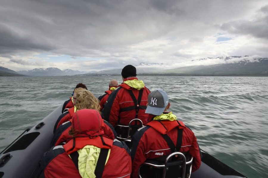 Akureyri: 2-Hour Whale Watching Express by RIB Speedboat - Searching for humpbacks, minkes, and dolphins