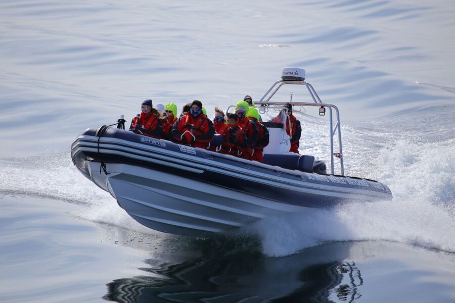 Akureyri: 2-Hour Whale Watching Express by RIB Speedboat - A low view of the fjord and its wildlife