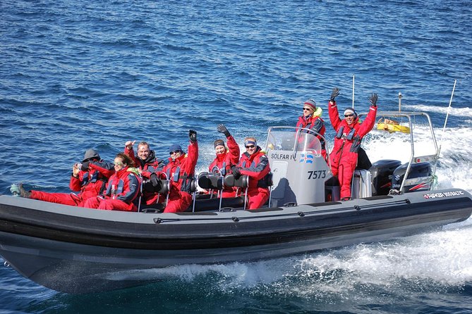 Akureyri Express Whale Watching by RIB boat - Timing, meeting point, and practical planning