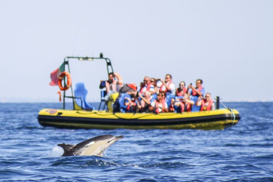 Albufeira: Benagil Caves & Dolphin Watching Speed Boat Tour - São Rafael and Marinha from the sea