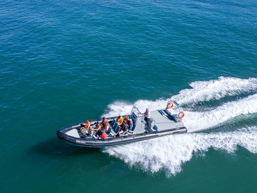 Albufeira: Dolphins & Benagil Caves RIB Tour - A fast start from Albufeira Marina