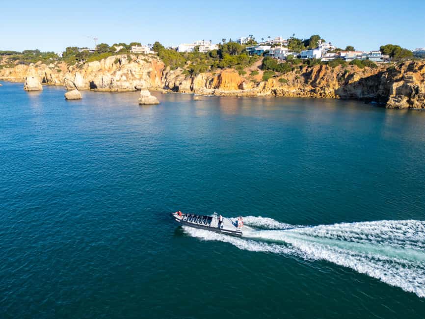 Albufeira: Dolphins & Benagil Caves RIB Tour - Searching for Common and Bottlenose Dolphins