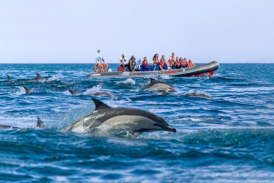 Albufeira: Dolphins & Benagil Caves RIB Tour - Approaching Benagil Cave