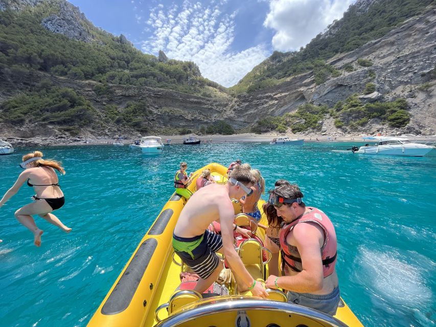 Alcudia: Speedboat Tour of Northern Mallorca & Hotel Pickup - A Short Marine Life Stop Before Returning