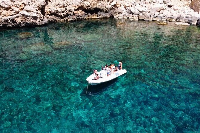 Alghero: snorkeling RIB tour in Porto Conte and Capo Caccia - Wildlife sightings are possible, not promised