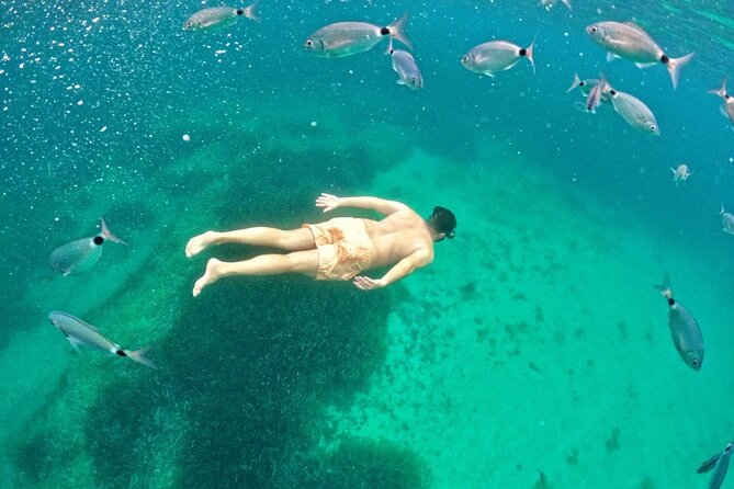 Alghero: snorkeling RIB tour in Porto Conte and Capo Caccia - What the guide adds to the day