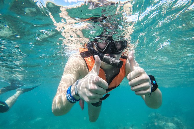 Amazing Speedboat Cancun - Equipment, guidance, and comfort