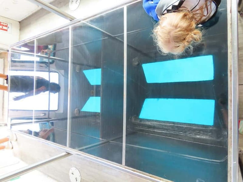 An Aegean Sea Adventure on Glass-Bottom Speedboat Dory! - What the $29 price really covers