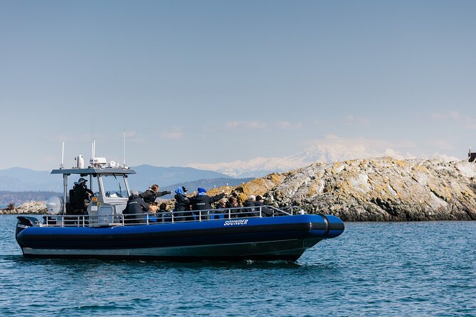 Anacortes Whale Watching Adventure Tour - Zodiac Boat - What you pay for at $149