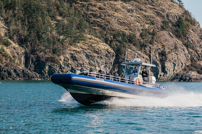 Anacortes Whale Watching Adventure Tour - Zodiac Boat - Who should book this trip