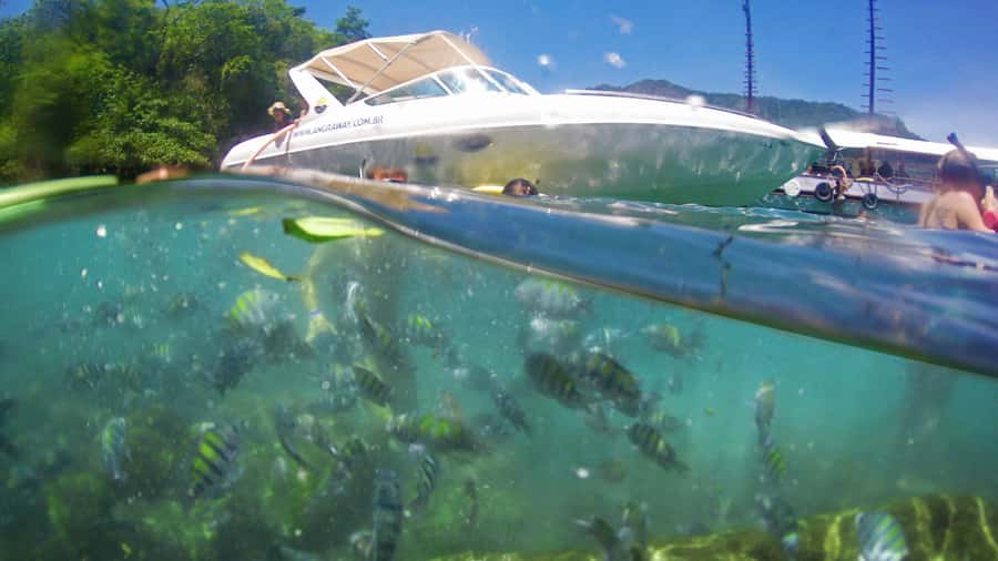Angra dos Reis: Super Lagoa Azul Speedboat Tour - Araçá Beach, rocks and preserved vegetation