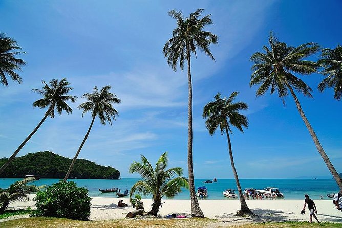 Angthong National Marine Park by Speed Boat with Snorkeling & Kayaking - Climbing above Emerald Lagoon at Koh Mae Koh