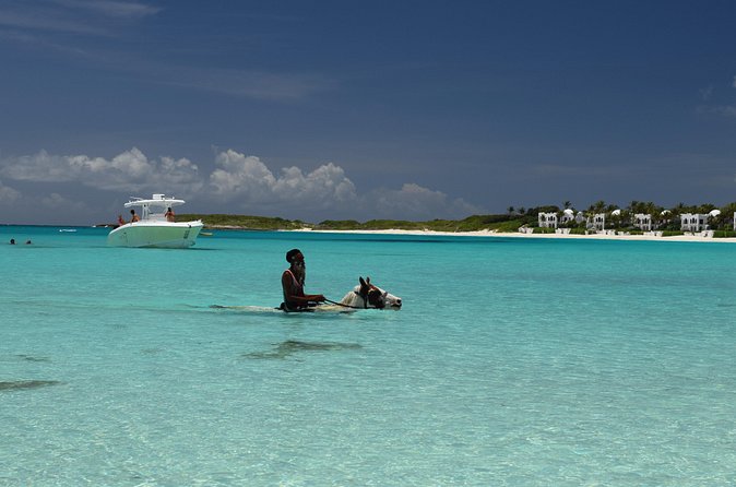 Anguilla - Discovery Speed Boat tour - Little Bay: snorkeling, calm water, and a cliff jump