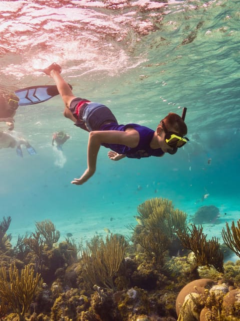 Ao Nang: 4 Islands Day Tour by Speedboat or Longtail Boat - Phra Nang Cave Beach and the Shrine