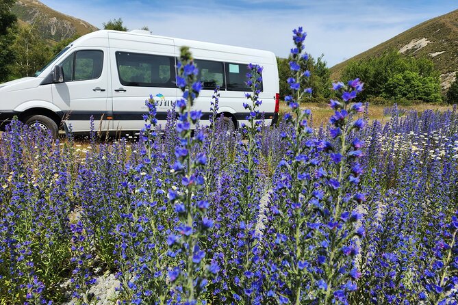 Arthur’s Pass Tour From Christchurch With Jet Boat & TranzAlpine - Starting in Christchurch at 9:00 am