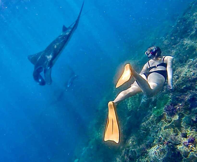 Bali: Nusa Penida: Snorkeling, West trip, lunch & speed boat - Key points to know before booking